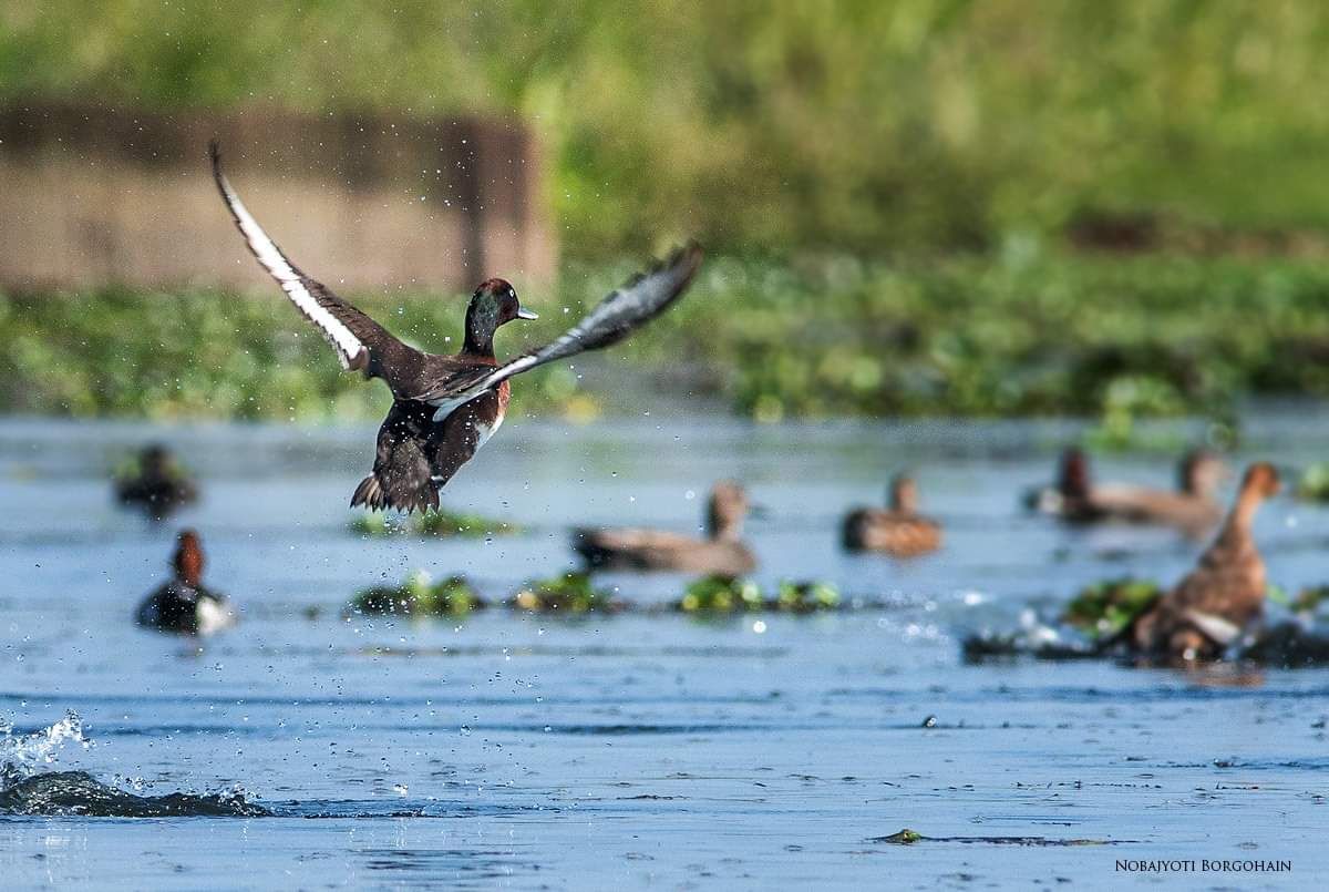 Grand Eastern Holidays