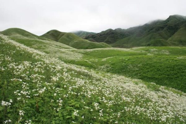 Dzukou Valley - Grand Eastern Holidays