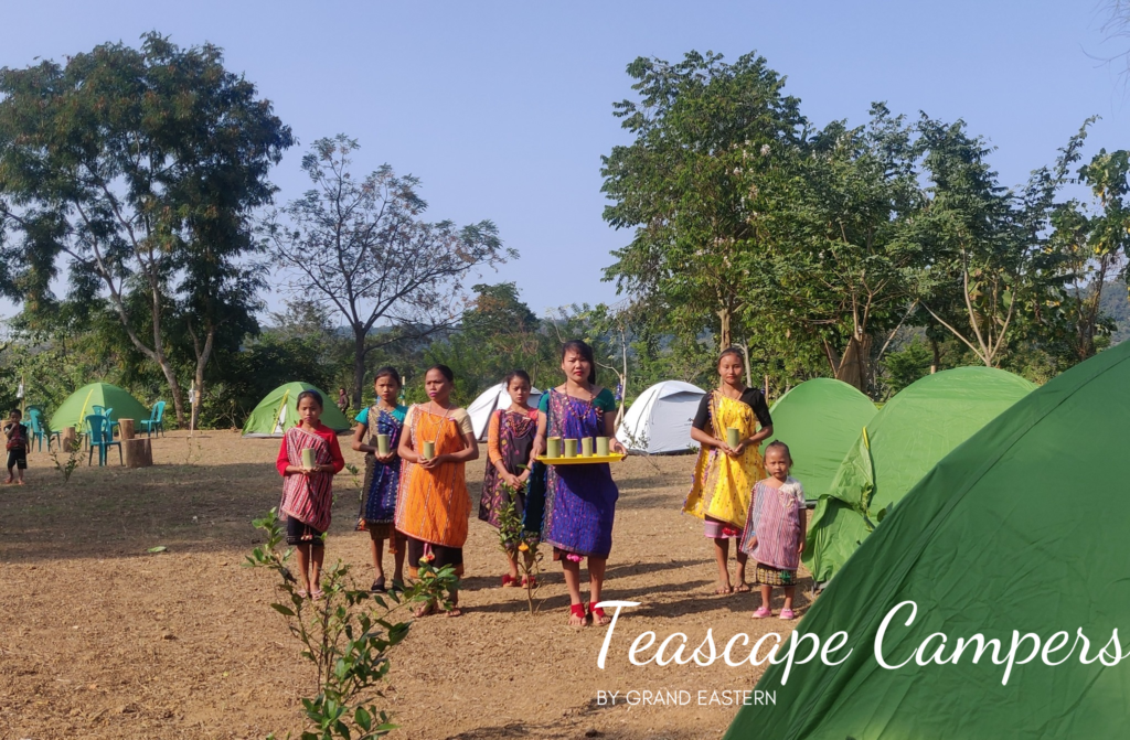 Teascape Campers 8